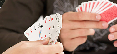 bridge game thumbnail bridge game thumbnail