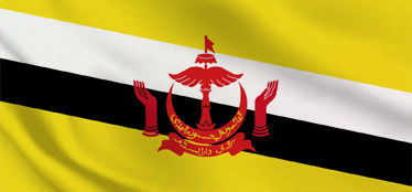 Flag_Brunei Flag_Brunei