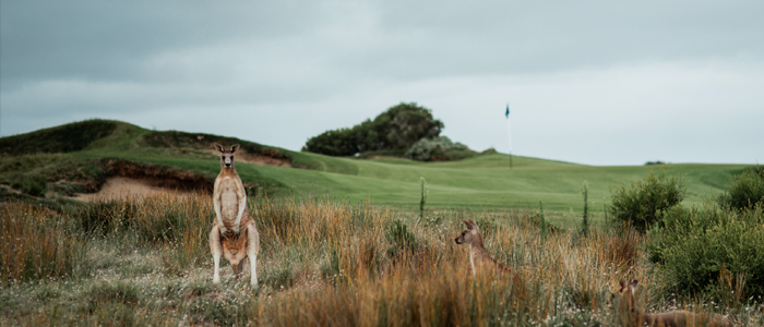 The-National-Golf-Club-(Reciprocal) The-National-Golf-Club-(Reciprocal)